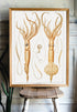 framed coastal wall art